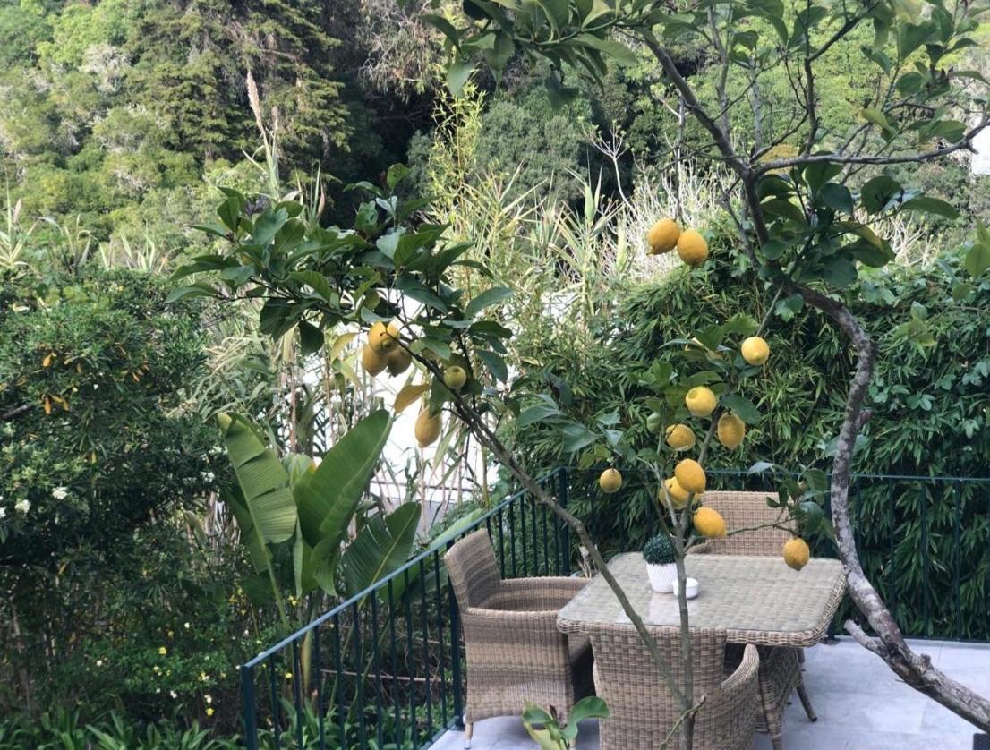 فندق Casa Holstein Quinta De Sao Sebastiao سينترا المظهر الخارجي الصورة