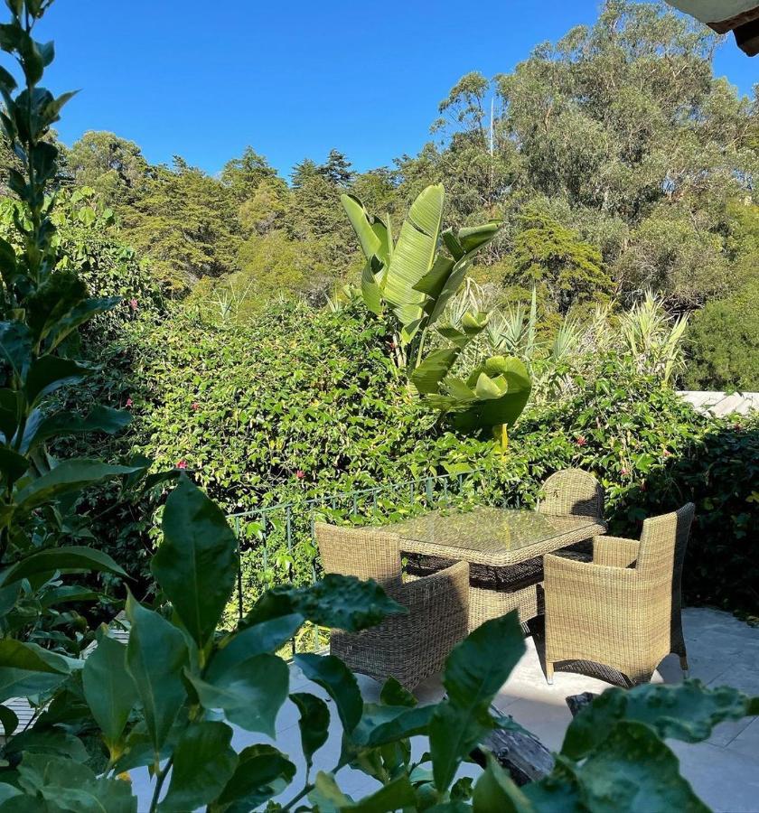 فندق Casa Holstein Quinta De Sao Sebastiao سينترا المظهر الخارجي الصورة