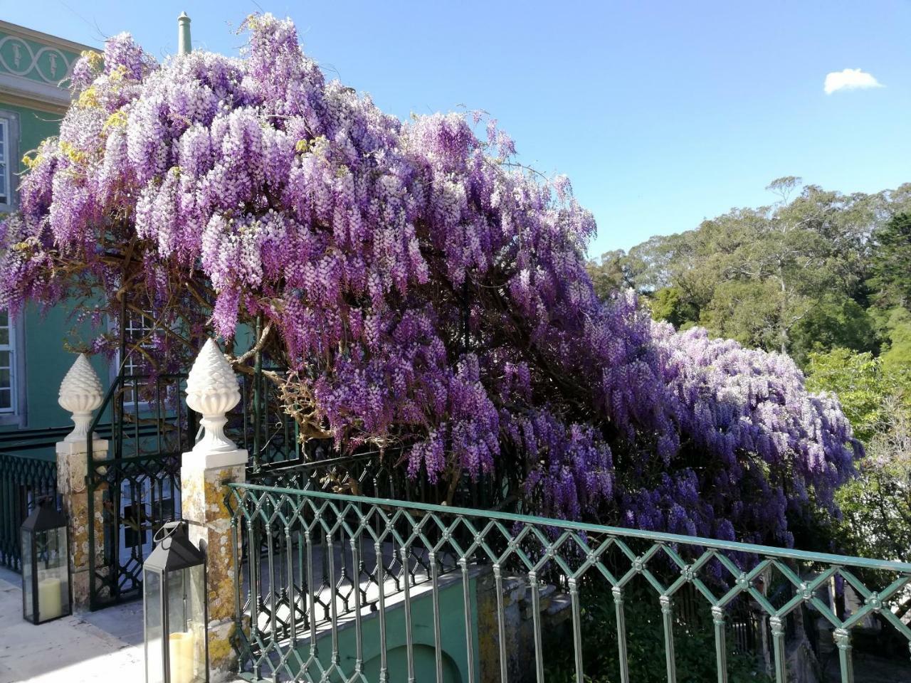 فندق Casa Holstein Quinta De Sao Sebastiao سينترا المظهر الخارجي الصورة