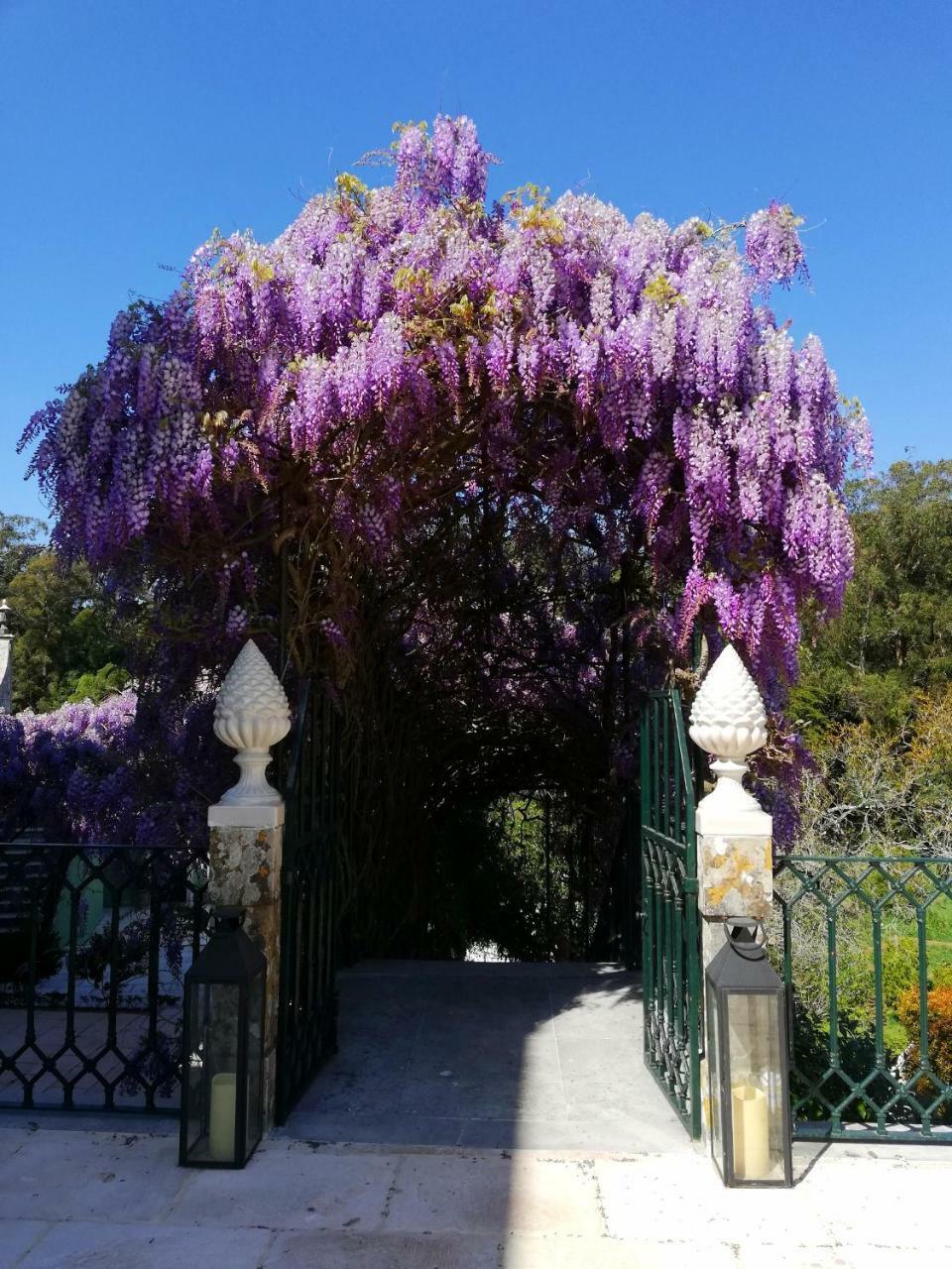 فندق Casa Holstein Quinta De Sao Sebastiao سينترا المظهر الخارجي الصورة